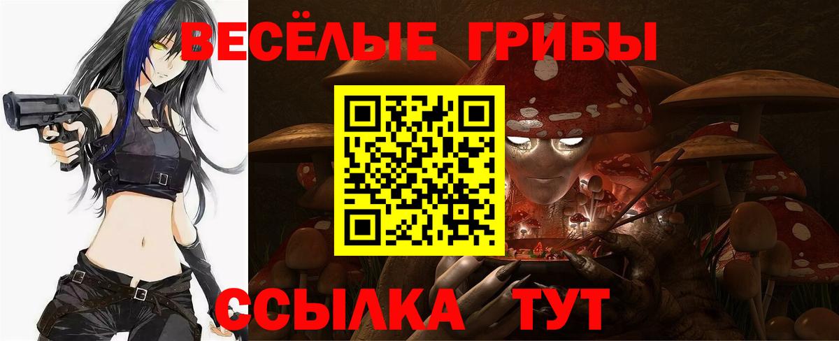 Галлюциногенные грибы мицелий  Вход с VPN  Родники 