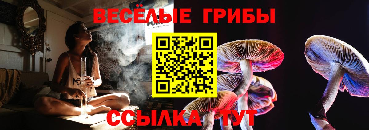 Псилоцибиновые грибы Magic Shrooms Родники